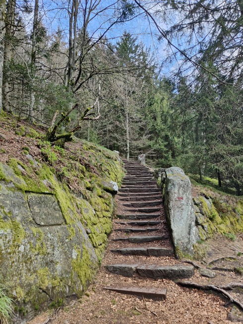 Rundweg am Donon - Grandfontaine