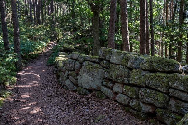 Rund um den Mont Sainte-Odile