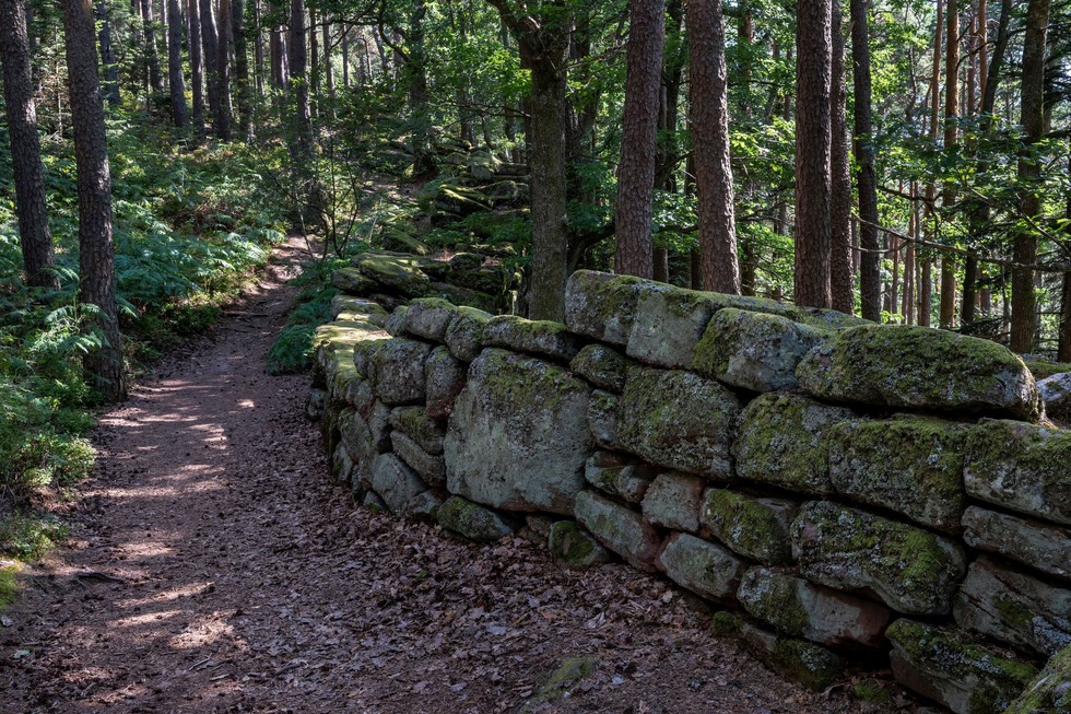Rund um den Mont Sainte-Odile - Ottrott