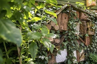 Im Museum f�r Natur und Mensch gibt es bei der Insekten-Expedition viel zu erkunden