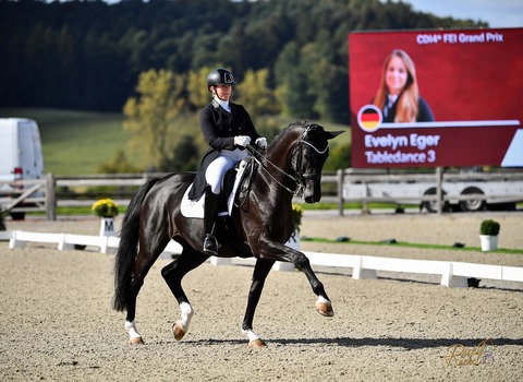 Covalliero Dressage Days | Donnerstag - Hagen - 02.07.2026 08:00