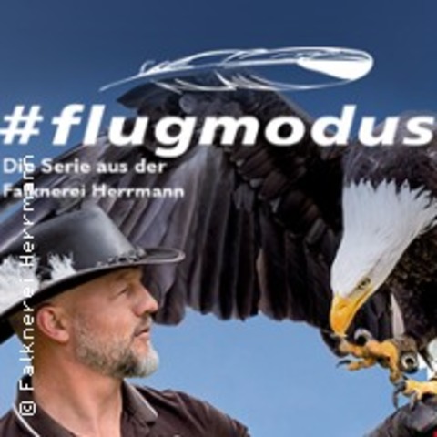 flugmodus - Premiere 2. Staffel - Die Serie aus der Falknerei Herrmann - PLAUEN - 03.07.2026 18:00