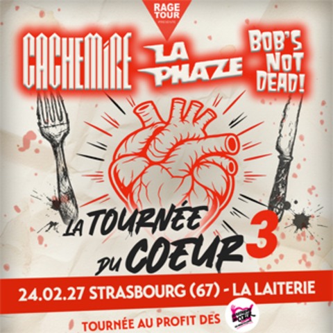 Cachemire + La Phaze + Bob's Not Dead - Stra�burg - 24.02.2027 19:15