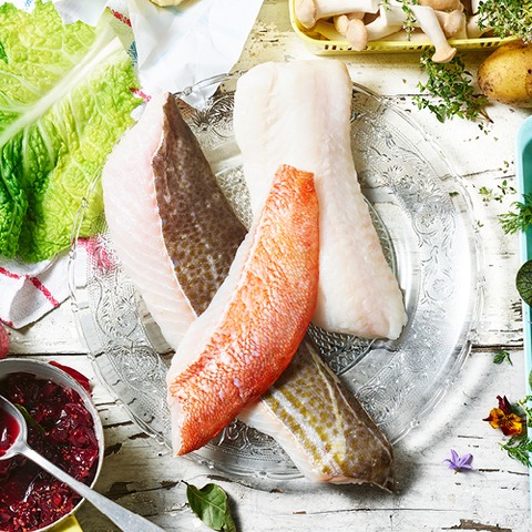 K�chenhandwerk - Fischfiletierkurs - Leipzig - 25.11.2026 17:00