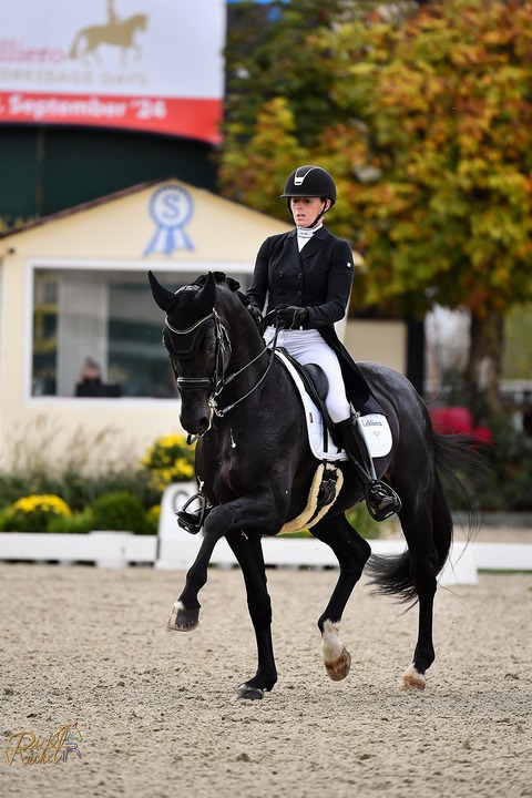 Covalliero Dressage Days | Freitag - Hagen - 03.07.2026 08:00