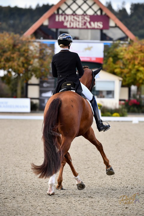 Covalliero Dressage Days | Samstag - Hagen - 04.07.2026 08:00