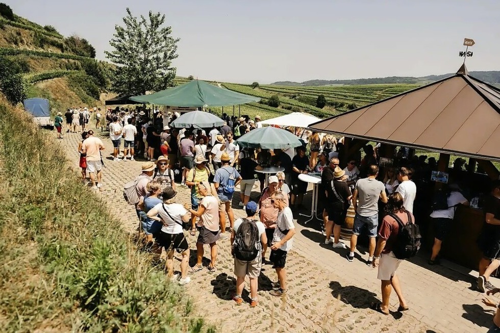 Die Region um Bischoffingen pr�sentiert die Kaiserst�hler Burgundertour an Fronleichnam - Badische Zeitung TICKET