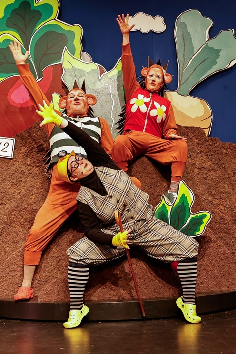 Hase und Igel - nach dem M�rchen der Br�der Grimm - Kleve - 20.02.2027 16:00