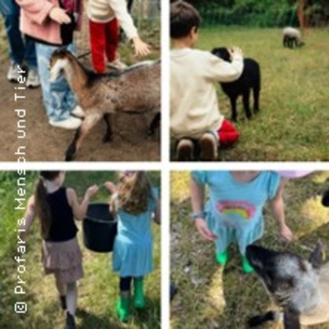 Kindertags-Special - Schafe, Ziegen & Natur - TELTOW - 04.07.2026 11:00