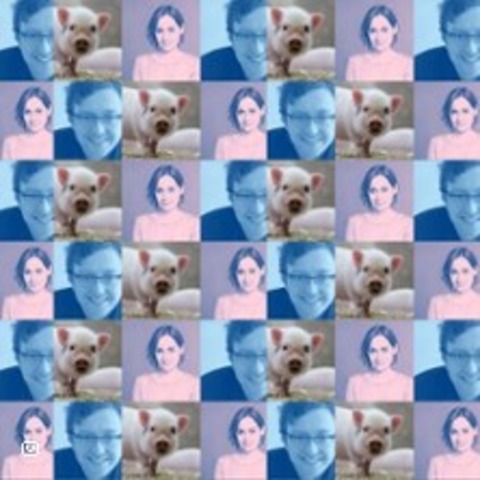 Das Schwein und ich - D�SSELDORF-OBERKASSEL - 24.09.2026 20:00