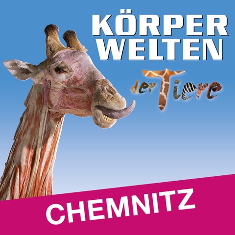 K�RPERWELTEN der Tiere | Chemnitz | Zeitfensterticket - CHEMNITZ - 13.10.2026 10:00