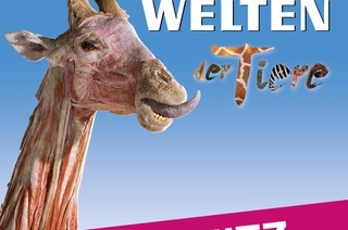 K�RPERWELTEN der Tiere | Chemnitz | Zeitfensterticket