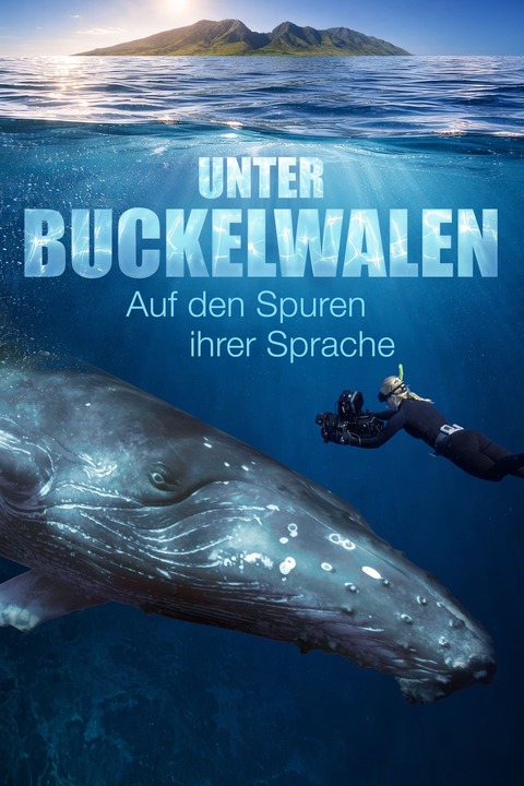 Sommerkino - NaturfilmNacht Ahrenshoop: �Unter Buckelwalen - Auf den Spuren ihrer Sprache� - Ostseebad Ahrenshoop - 11.08.2026 21:00