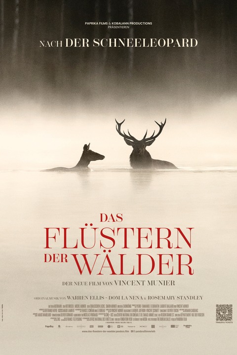 Sommerkino - NaturfilmNacht Dierhagen: �Das Fl�stern der W�lder� - Dierhagen - 10.08.2026 21:00