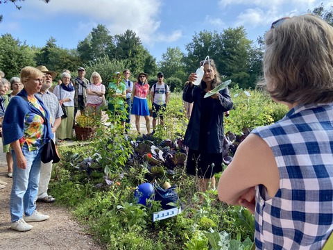 F�hrung: Alpen im Garten - Pflanzenwelt zwischen Fels, Schnee und Wind - Hamburg - 18.07.2026 16:00