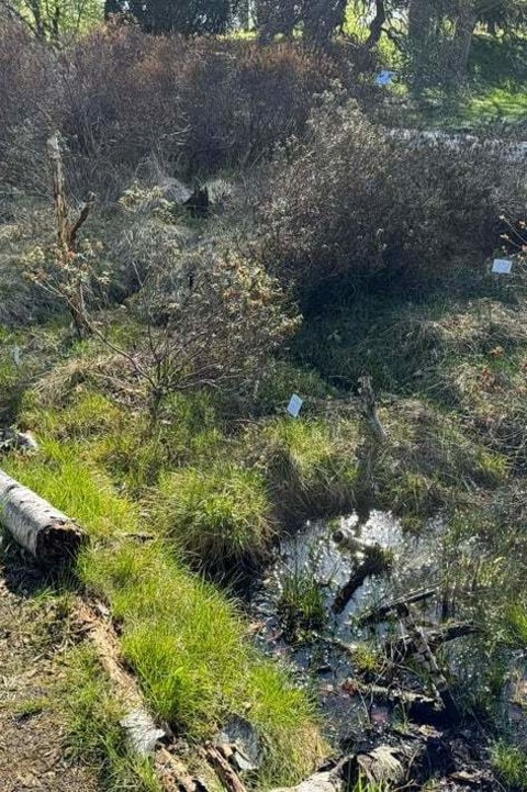 F�hrung: Geheimnis Moor - Zwischen Leben, Torf und Tod - Hamburg - 18.07.2026 14:00