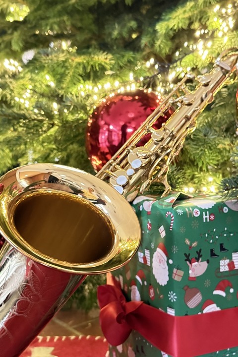 Bigband Champaign - Swinging Christmas - Seevetal-Hittfeld - 13.12.2026 15:30