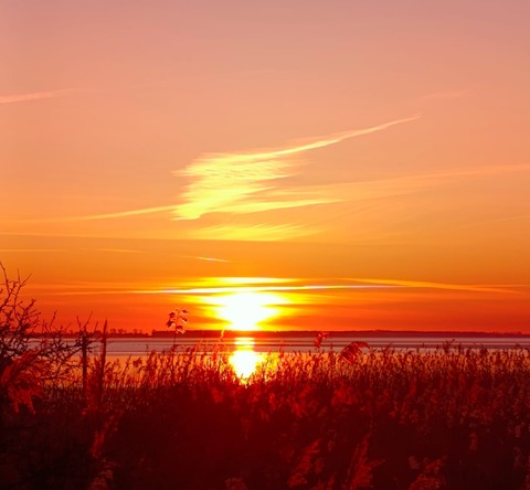 Der Morgenwalk in Wieck - Wieck auf dem Dar� - 04.08.2026 09:00