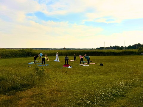 Yoga f�r Anf�nger - Wieck a Dar� - 13.08.2026 17:00