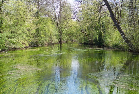 boox am Wasser - Gauting - 25.06.2027 18:00