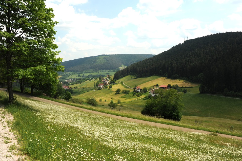Tonbachtal - Baiersbronn