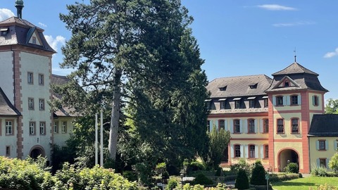 Handwerk & Design plus Wein - Preisverleihung am 3. Juli im Schloss Heitersheim - Heitersheim - 03.07.2026 16:00