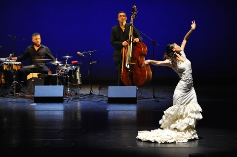 Zu Gast: Ensemble madrug� flamenca - Freiburg - 16.08.2026 20:30