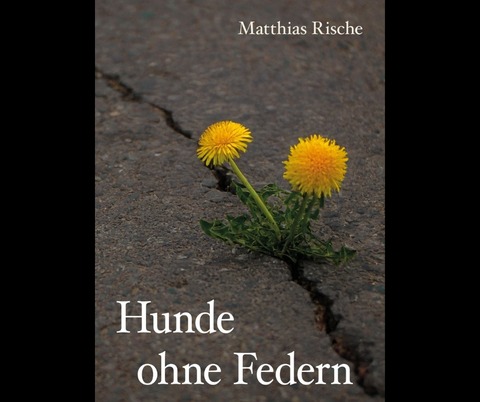 Matthias Rische liest aus seinem Buch „Hunde ohne Federn“ - Hunde ohne Federn - Torgau - 20.09.2026 17:00