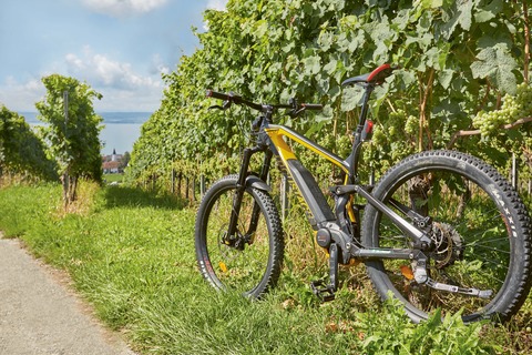 �ber den Bodanr�ck zum Mindelsee und zur�ck �ber Konstanz - Hagnau am Bodensee - 26.08.2026 10:00