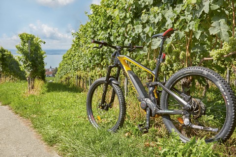 Altnau - Berg - Ottenberg / Schweiz - Ganztages-Tour - Hagnau am Bodensee - 29.07.2026 10:00