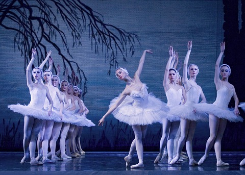 Schwanensee Ballett - Einbeck - 09.04.2027 20:00