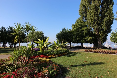 Schmecken und Staunen - Kulinarischer Spaziergang durch Hagnau am Bodensee - Hagnau am Bodensee - 13.08.2026 10:00