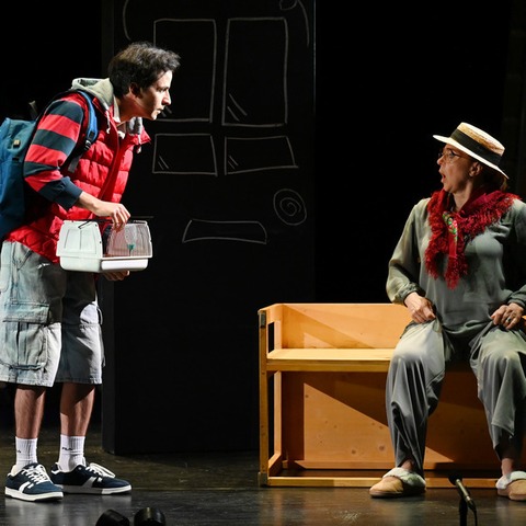The Curious Incident of the Dog in the Night-Time - Das English Theatre Frankfurt zu Gast im Theater R�sselsheim - R�SSELSHEIM - 05.02.2027 19:30