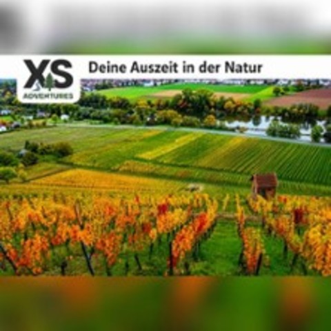 Wandern im Spessart mit Mainblick - Mikroabenteuer von XS Adventures - GROSSHEUBACH - 27.06.2026 11:00