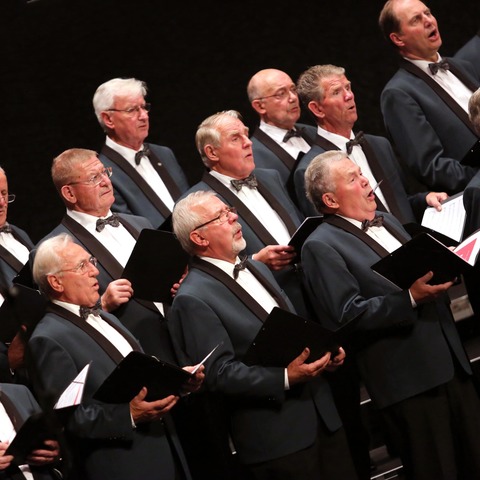 Mann, M�nner, M�nnerch�re - Klang & Tradition mit drei Ch�ren und Solistinen - R�SSELSHEIM - 01.11.2026 18:00