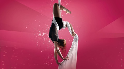 Best of Variet� - Singen - 16.01.2027 19:30