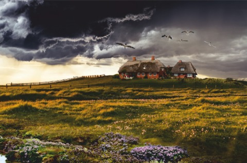 T�dliche Hallig - Autorenlesung mit Hendrik Berg - Sulingen - 04.11.2026 19:30