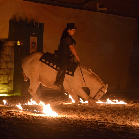 Abendshow Samstag - Auhagen - 05.09.2026 20:00