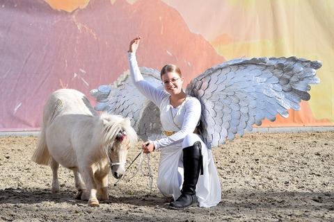 Tagesshow Sonntag - Auhagen - 06.09.2026 14:00
