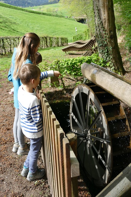 Wassertretbecken Schuttertal - Schuttertal