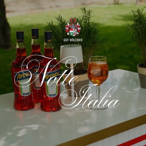 Notte Italia - Dolce Vita auf Gut W�llried - Rottendorf - 31.07.2026 17:00
