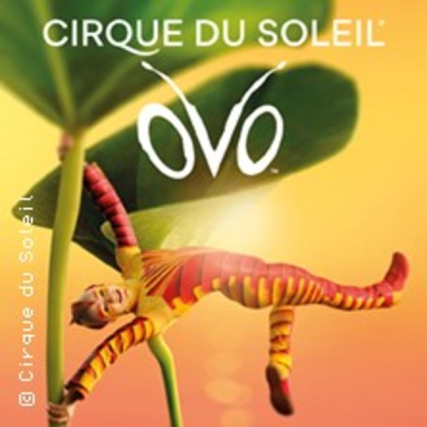 Komfort-Ticket - Cirque du Soleil - OVO - Oberhausen - 07.02.2027 13:00