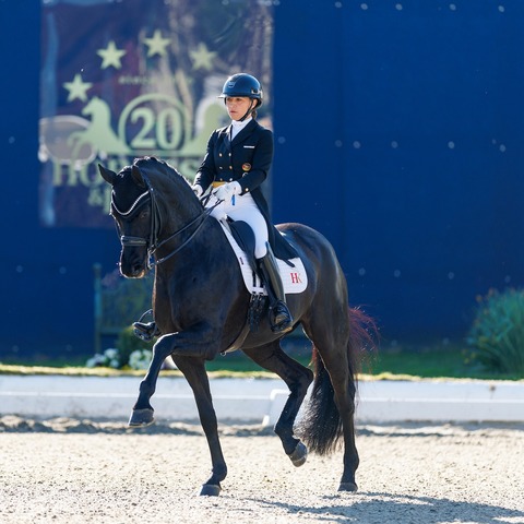 Horses & Dreams - Tagesveranstaltung Samstag - Hagen - 24.04.2027 08:00