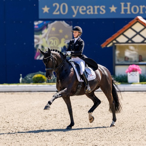Horses & Dreams - Tagesveranstaltung Donnerstag - Hagen - 22.04.2027 08:00
