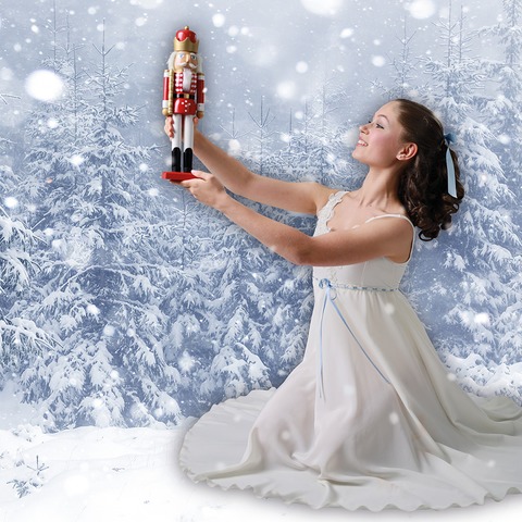 Der Nussknacker - Klassisches Ballett f�r die ganze Familie - F�rstenfeldbruck - 22.11.2026 11:00