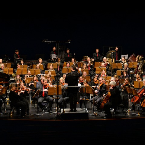Rheingauer Film-Symphoniker - Von Monstern und Kreaturen - R�SSELSHEIM - 13.03.2027 19:30