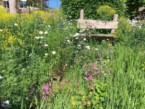 Naturnahe Gartengestaltung - Offenburg - 30.06.2026 19:00