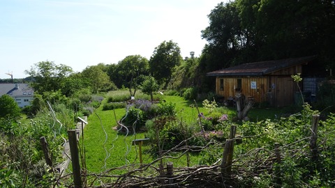 F�hrung durch den NABU-Wildbienen-Lehrgarten - Freiburg - 05.07.2026 10:00